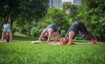 Yoga Nirodha - Your Space