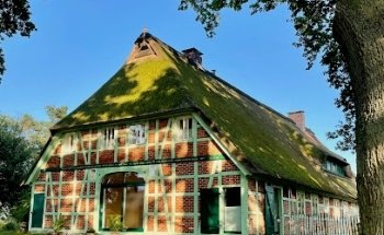 Die Therapeutin