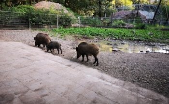 Yogaglück Pforzheim