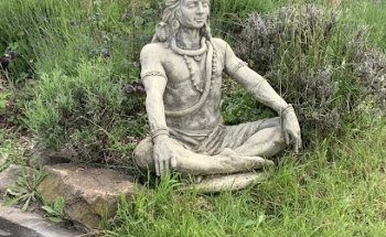 Yogavielfalt Daniela Sukhavati Kusch