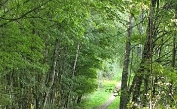 Annemarie Alumah Endres