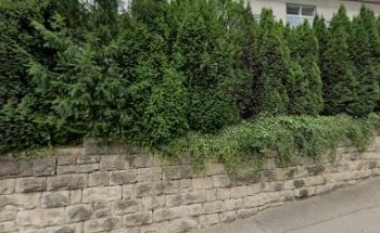 Kids-Om Kinderyoga & mehr