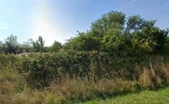 Yoga Sibylle Angermeier