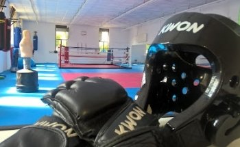 Kampfkunstschule-Dragon-Nauheim b. Groß Gerau