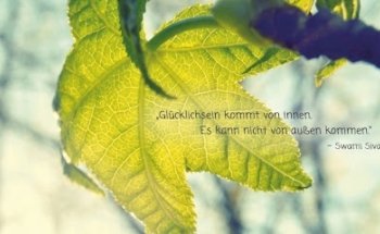 Yoga-Studio Verena Becker