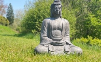 lebensfreudeleben.com