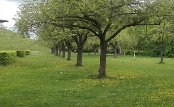 Yoga Pilates, Stefan Peter Berlin