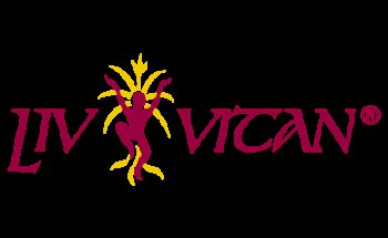 Yoga Lindau Bodensee mit Birgid Rau