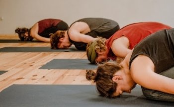 ELEMENT OST - Studio für Yoga und Bewegungslehre (Neustadt)