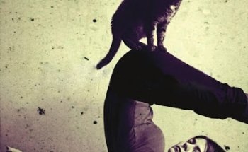 Yoga Vidya Center Gütersloh