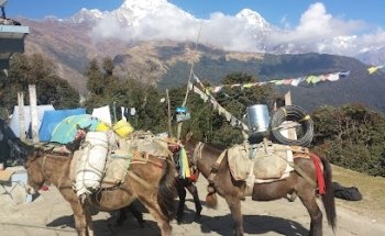 Yoga : At Work Susanne Arnold