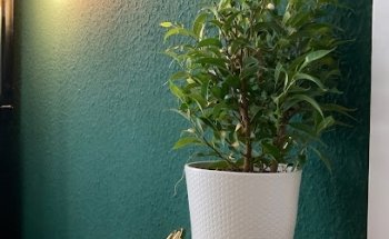 Yoga Garden Stuttgart