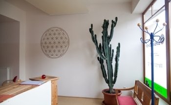 Yoga-Schule Barbara Schieck