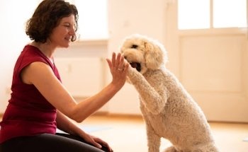 Yogastudio pudelwohl