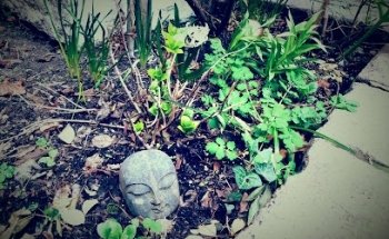 English Yoga Berlin - Alexander Technique