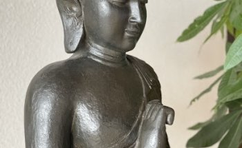 KörperSprache - Yoga, EMS & Beauty in Blaustein