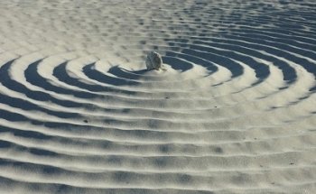 Samtosa Yogaschule – Köln Ehrenfeld