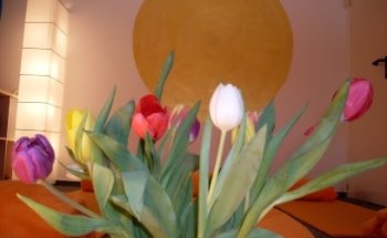 Yogastudio Susanne Simon