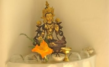 Freiburger Yoga Schule