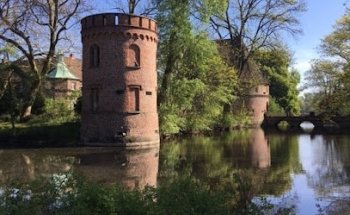 Yoga & Qigong Beate Dehnert