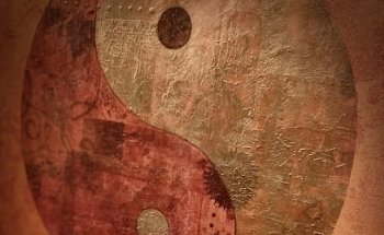 Ruhepol Yoga - Yoga & Klangentspannung in Potsdam