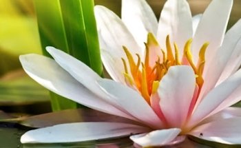 Yogastudio Böblingen