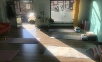 Homebase Yoga Lisa Kunze