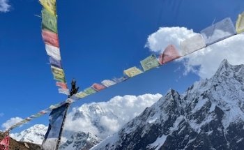 yona zentrum Yoga und Naturheilkunde