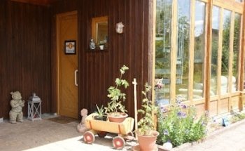 YogaSeta - Yoga, Kiefer-Yoga, Waldyoga, Ayurveda, Babymassage