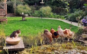 Praxis für Yoga, Physiotherapie und ganzheitliche Heilung Geraldine Gilbert