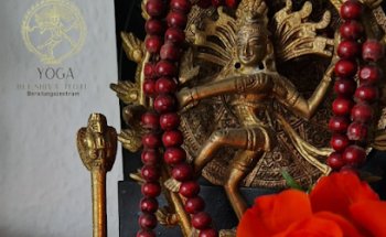 Online Beratungs Persönlichkeits- und Geschäft Analyse