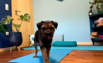 Mapurna.Yoga.Upcycling