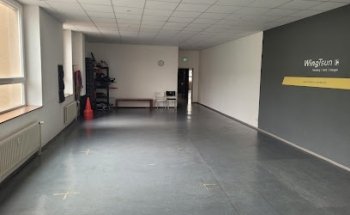 WingTsun