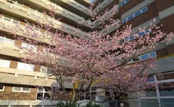 Haus Yoga Vidya Bad Meinberg