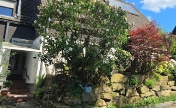 Vit-emotion Gesundheitspraxis Körper, Geist &Seele