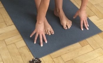 Sarva Yoga Silke Mößner