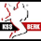 Kampfsportschule Berk Dermbach