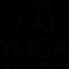 Yoga Quartier Yoga Studio Wiesbaden Igstadt