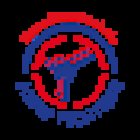Taekwondo Schule Fichtner Delitzsch