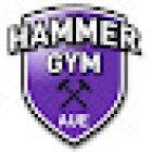 Hammergym Aue