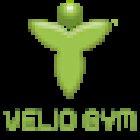 VELIO Gym