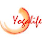 Yogalife Teacher Training Cologne