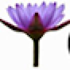 Yoga in jedem Alter - Yogaschule Michaela Friedl