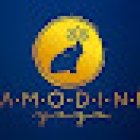 Amodini Yoga