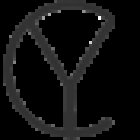 CareYoga - Body, Mind & Food