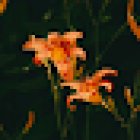 Yoga am Rialtoring 74