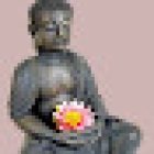 Entspannungs- Oase Susanne Hain