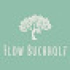 Flow Buchholz - Yoga, Prana-Heilung & Selbstentfaltung