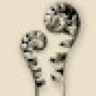 Praxis für Körperpsychotherapie, Yoga und Gesundheitstraining Kerstin Löwenstein