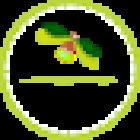 Be Light Yoga, Thai Massage & Acroyoga